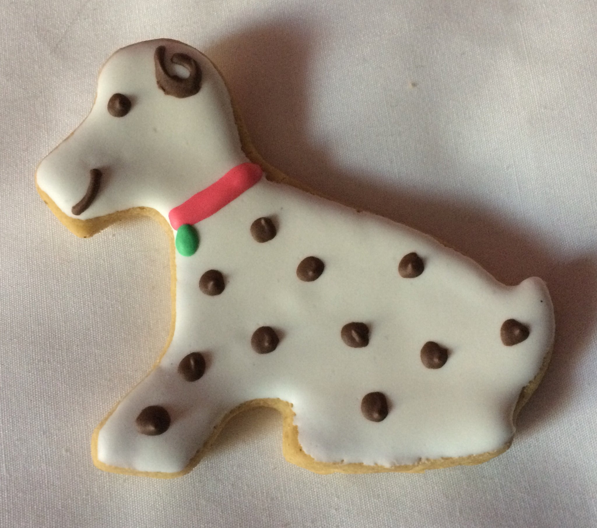 Dalmation (18)