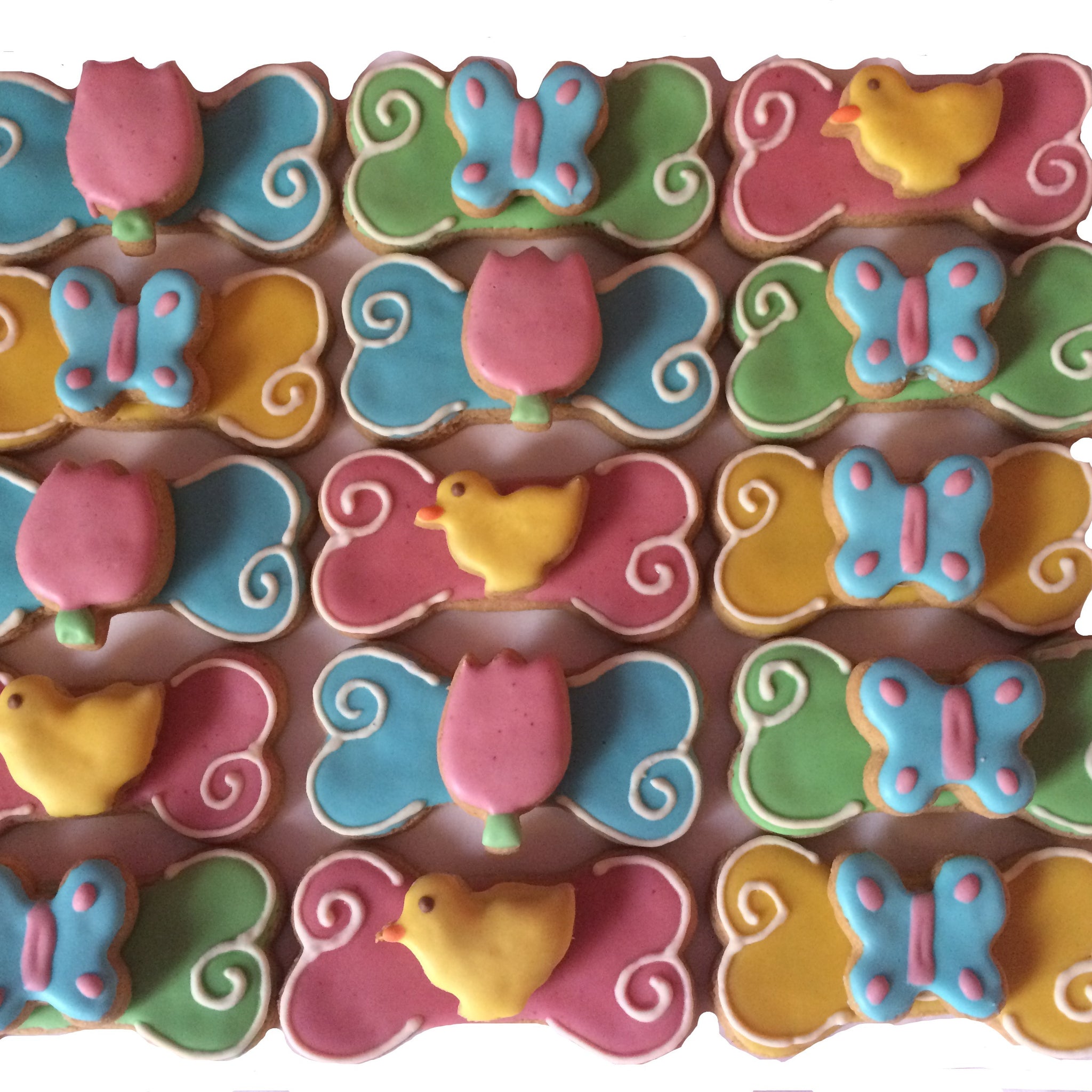 Spring 3D Bones (Qty 12)