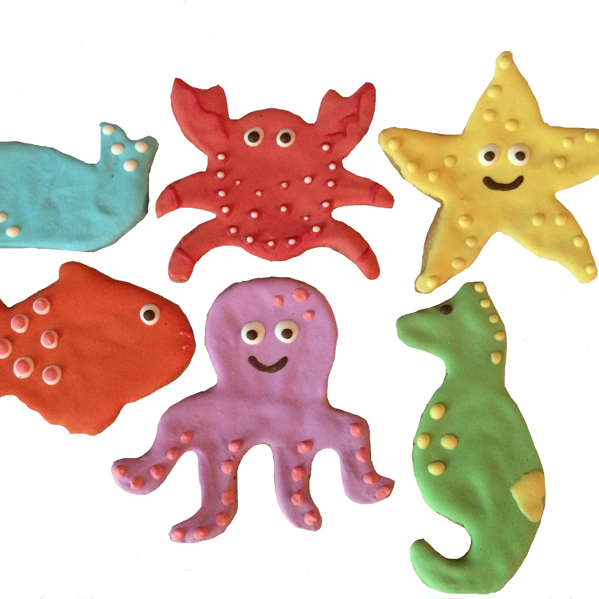 Under The Sea Assortment (10)